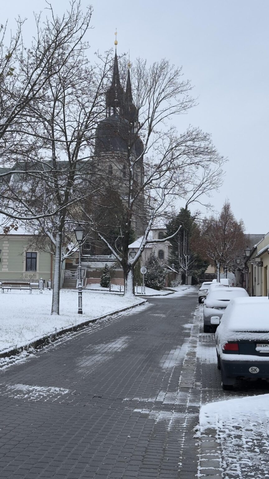 雪のトルナヴァはとても美しいです 🥲