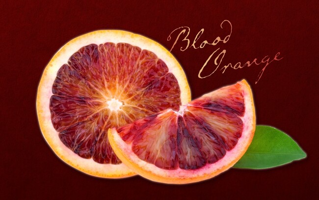【純国産は流通量1%】ベリーのように香る真紅の希少柑橘「ブラッドオレンジ(モロ)」を期間限定販売──皮まで使える安心感、愛媛の老舗農園「かじ坊」 | 鹿児島・九州プレスリリース | 生活情報 | くらし 【純国産は流通量1%】ベリーのように香る真紅の希少柑橘「ブラッドオレンジ(モロ)」を期間限定販売──皮まで使える安心感、愛媛の老舗農園「かじ坊」 | 鹿児島・九州プレスリリース | 生活情報 | くらし
