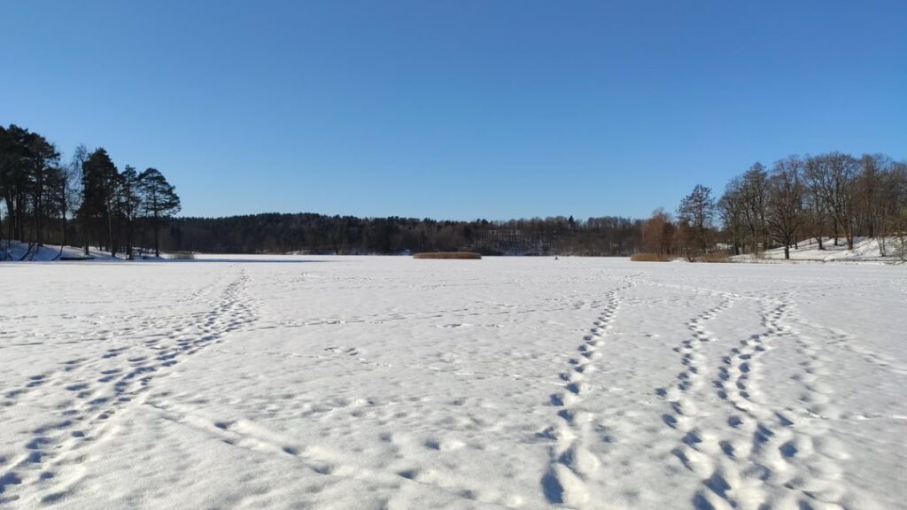 アイスレントバリス