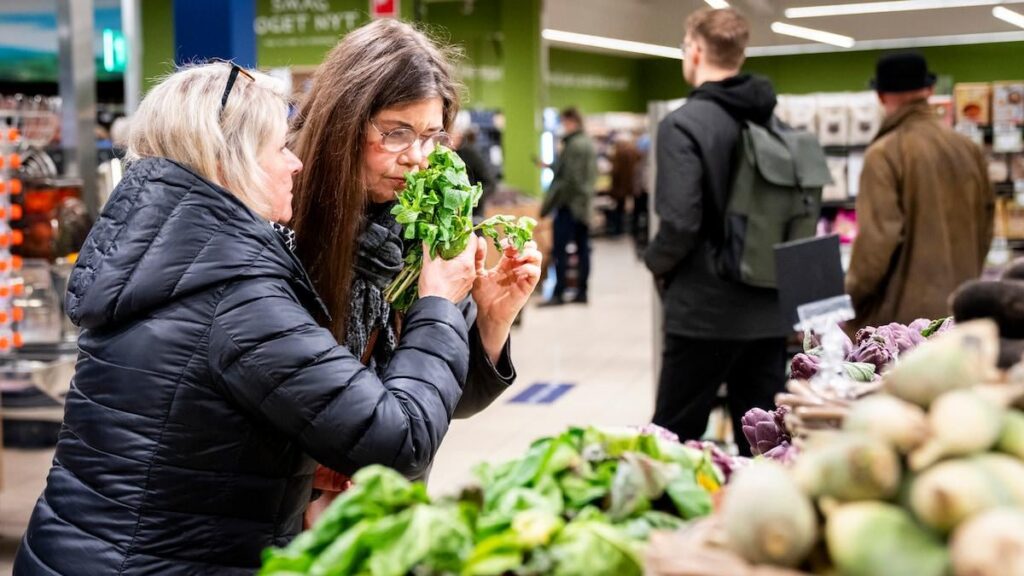 食事ガイドラインに従って食事をするデンマーク人は一人もいない、主要な研究は内陸部の人々を示している
