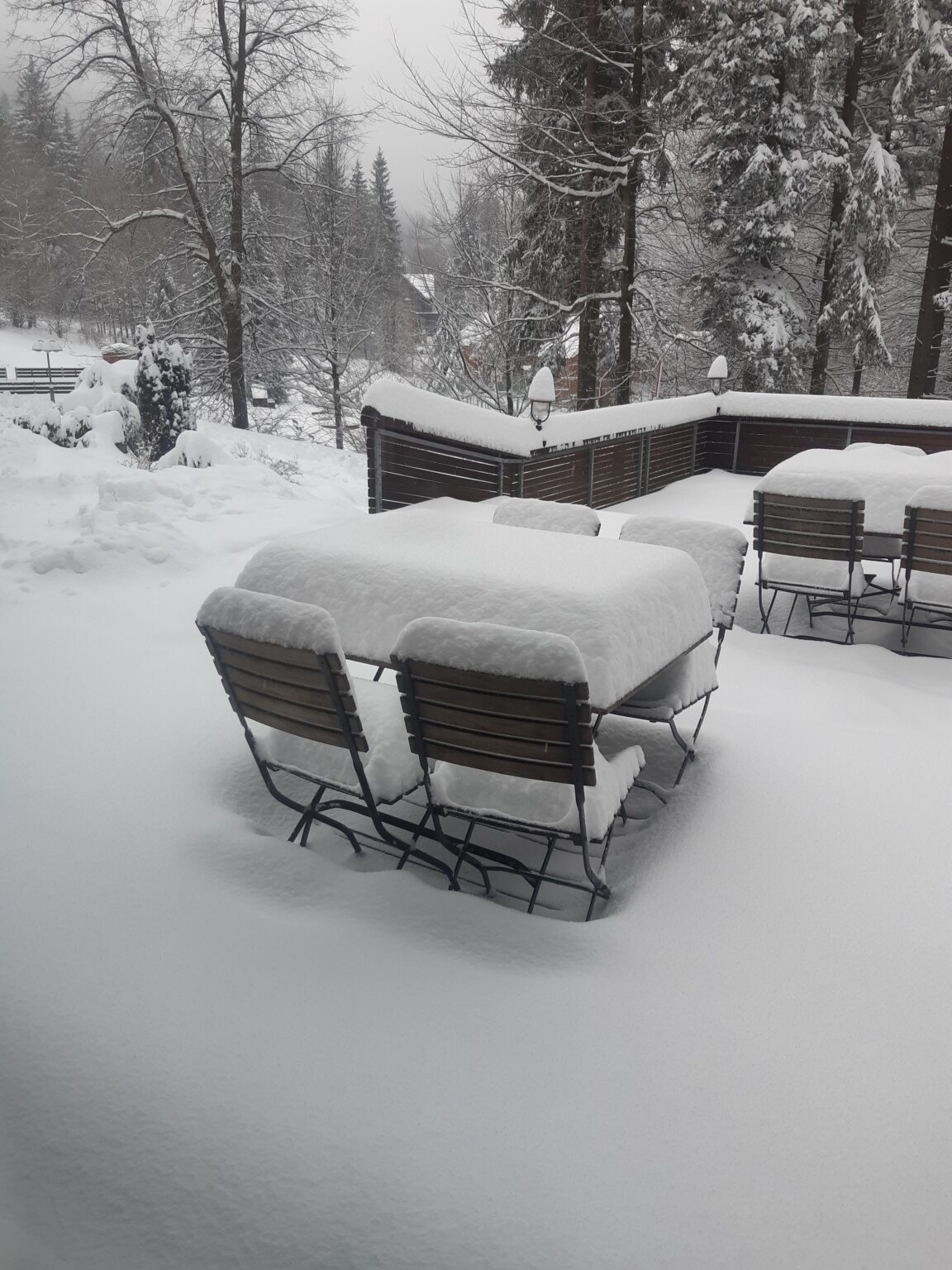 彼はよく攻撃した