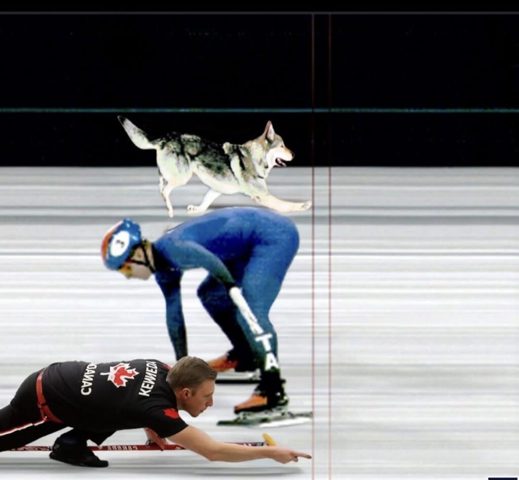 誰が勝ちますか？