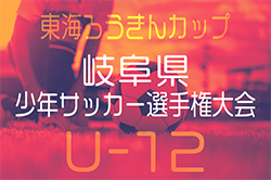 速報！【優秀選手掲載】2025年度 東海ろうきんカップ 第58回中日旗争奪 岐阜県少年サッカー選手権大会　美濃加茂コヴィーダJFCが3年ぶりの優勝！ | Green Card ニュース