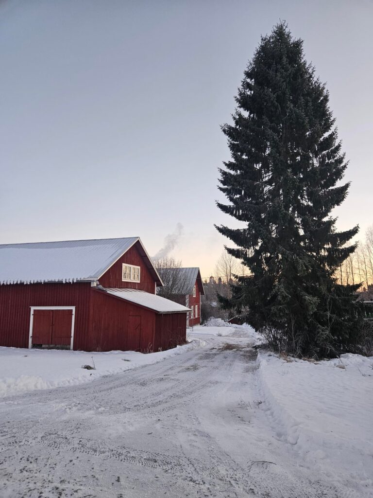 平和、静か、そして寒さ。