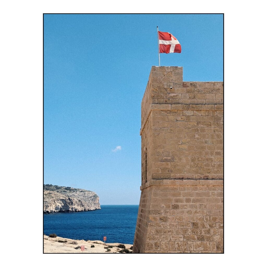 先日の写真をいくつか😊