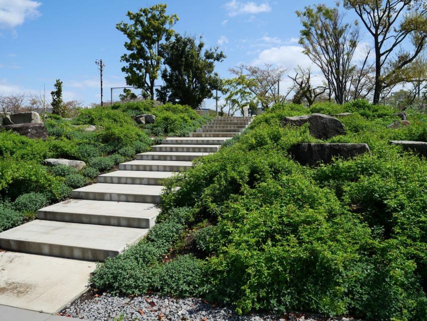 フラワーヒルの階段2