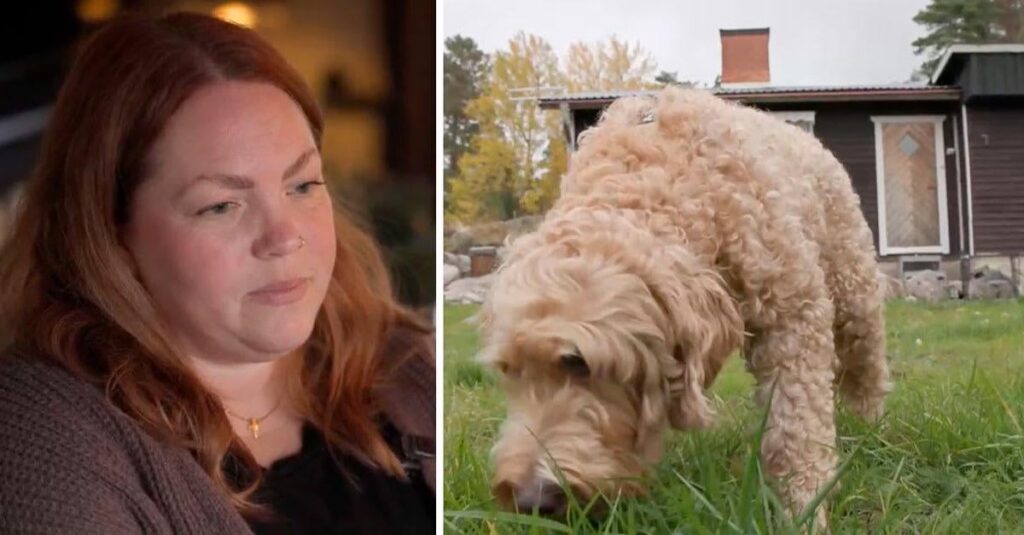 サラは獣医の費用を稼ぐために家を売らなければなりません