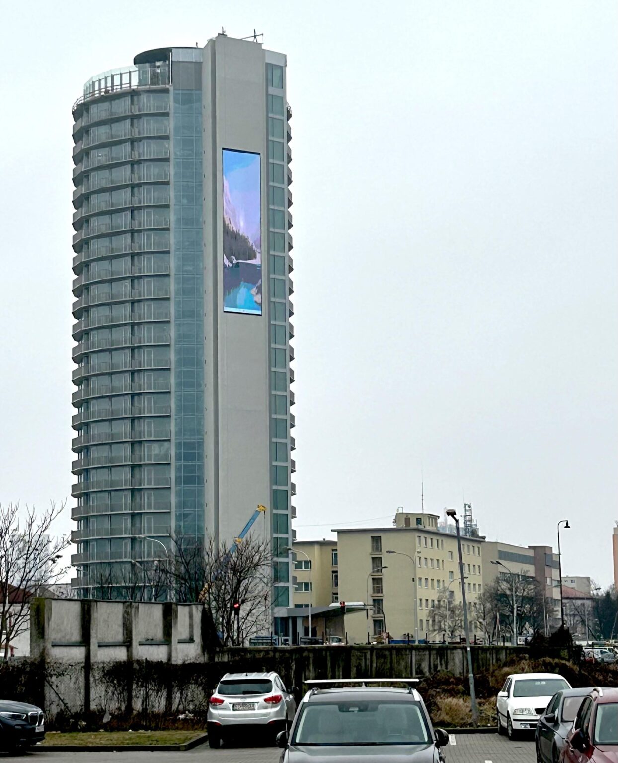 液晶画面と苔の壁、ちょっと無理がある気がする