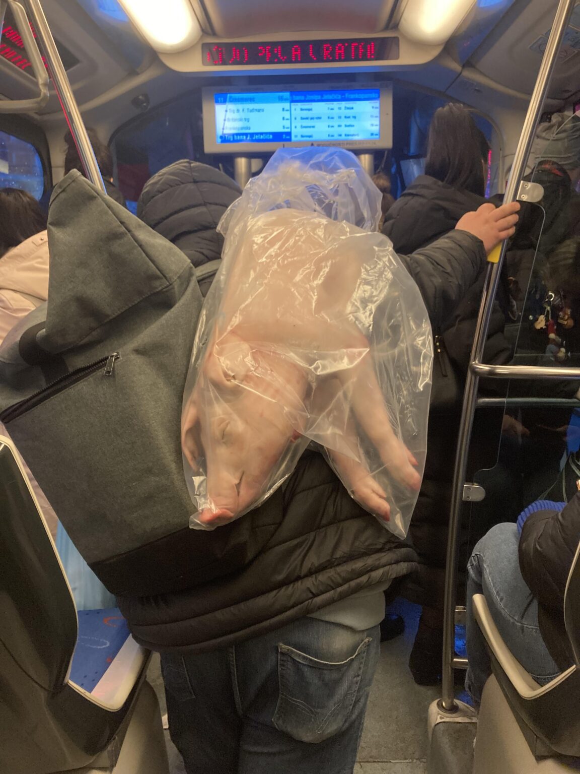 そして専門家？