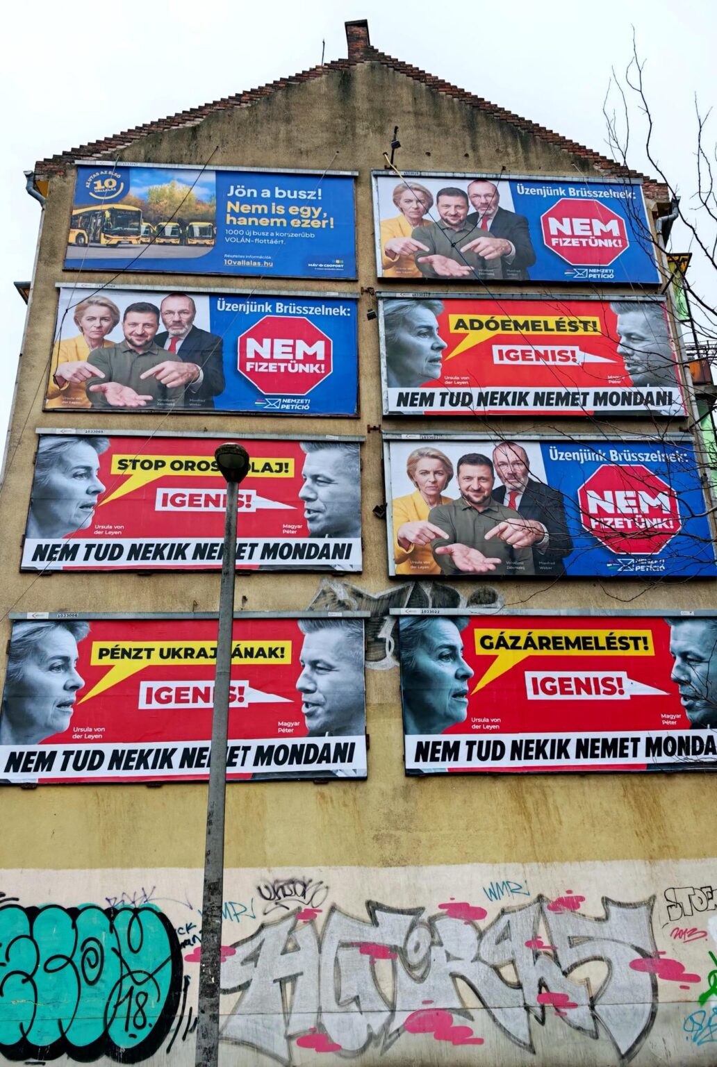 オーブダで脳死？