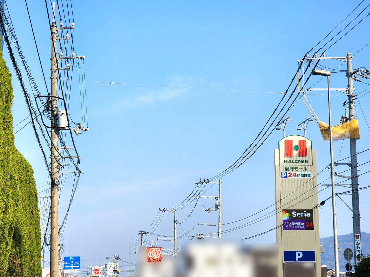 「ハローズ国府店」看板。2026年1月撮影