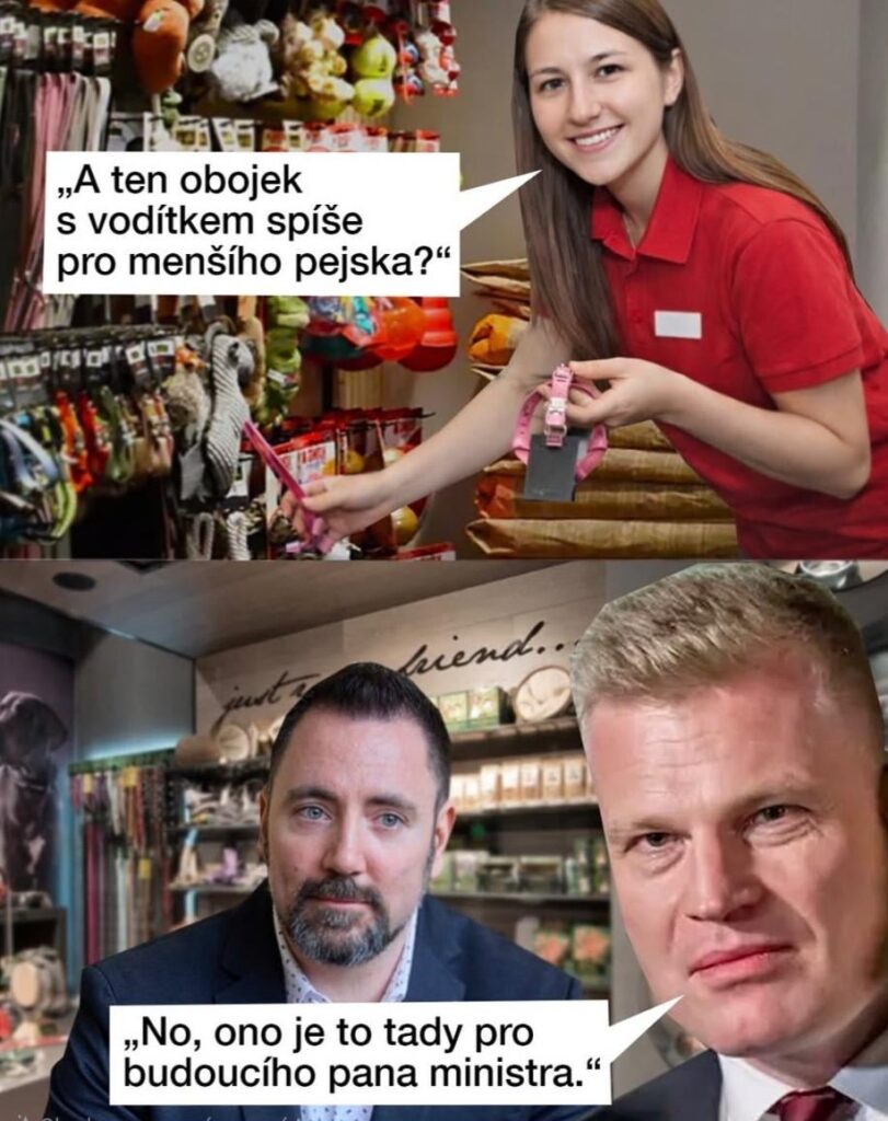 「彼は私の目に映ったことをするだろう」