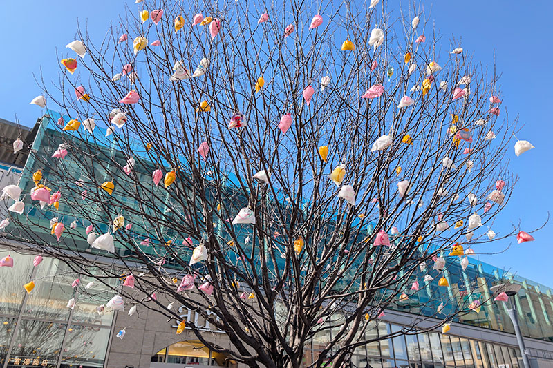 浦和駅東口で「ひかりの実プロジェクト」が行われている | 浦和シティネット