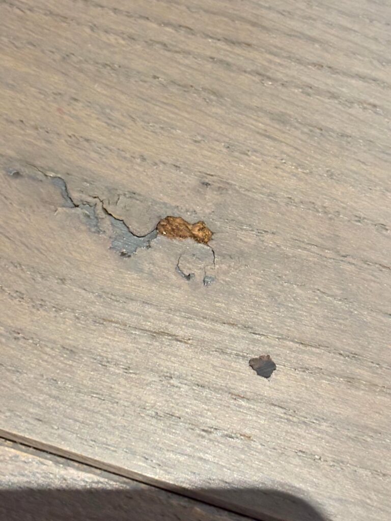 堅木張りの床の詰め物が出てきました