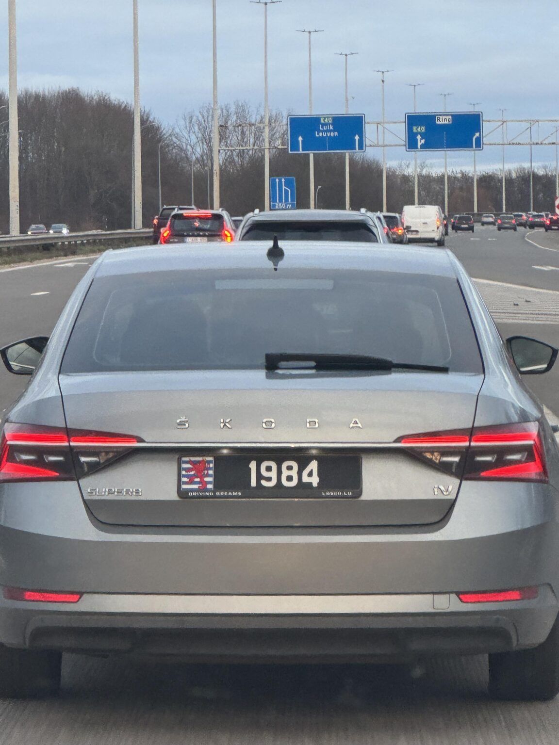 ベルギーで見られたナンバープレート。ルクセンブルク産ですか？