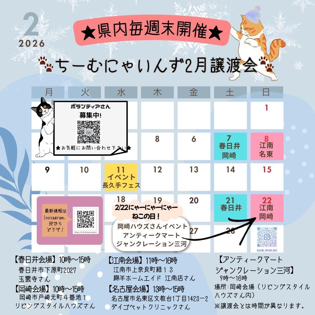 提供：ちーむにゃいんず