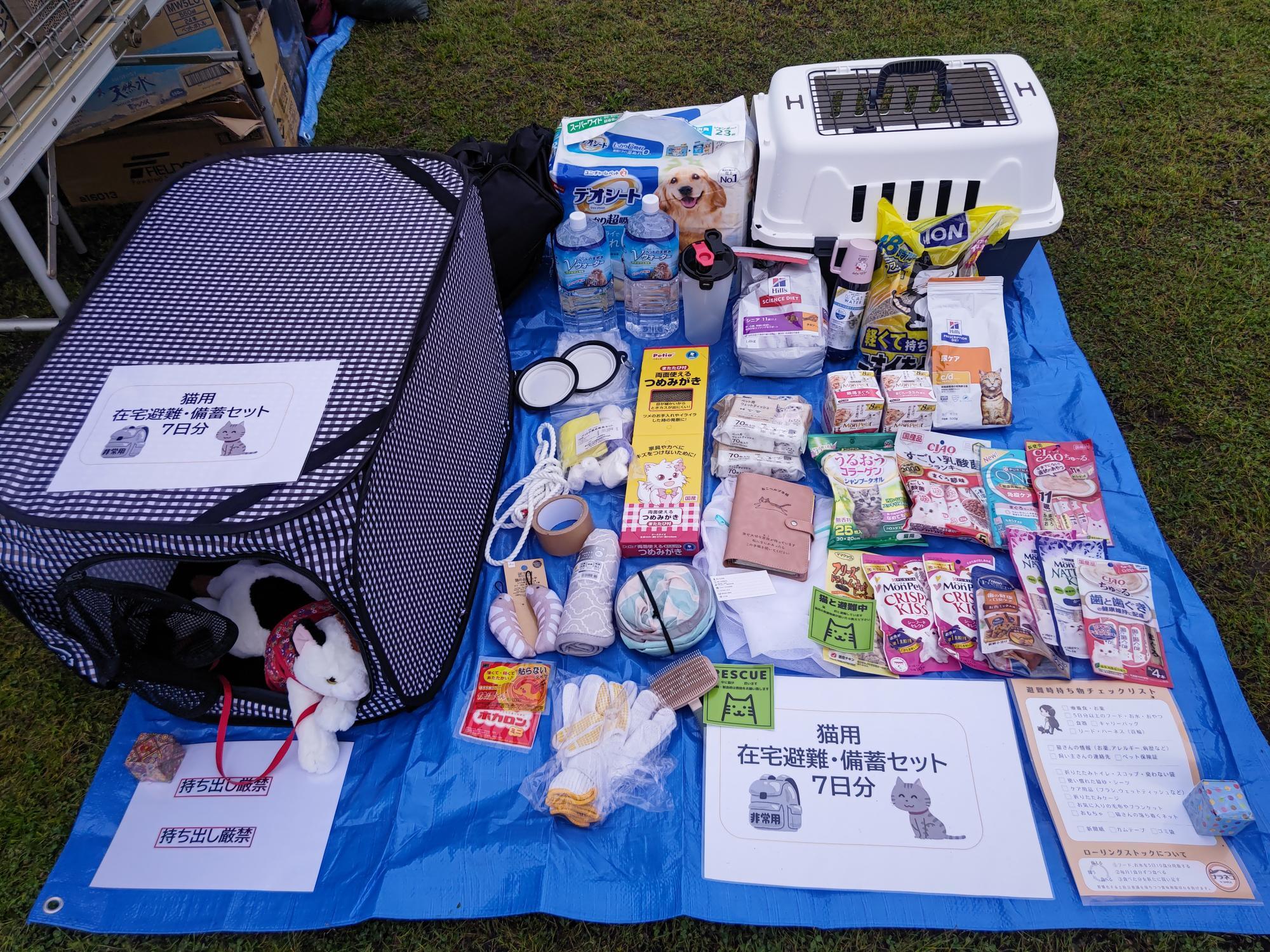 過去の開催時の様子