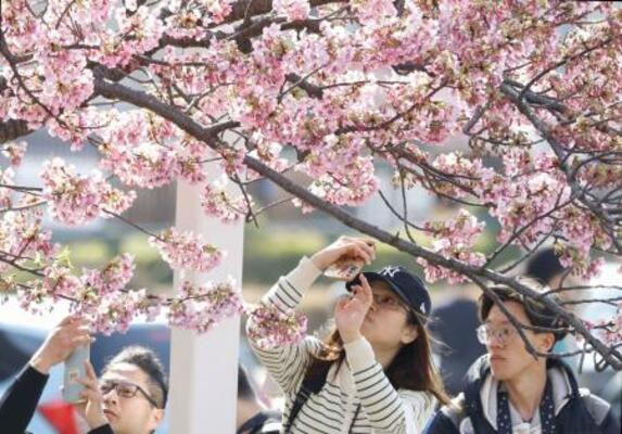 気温が上がった東京都墨田区で桜の写真を撮る人たち=23日午後