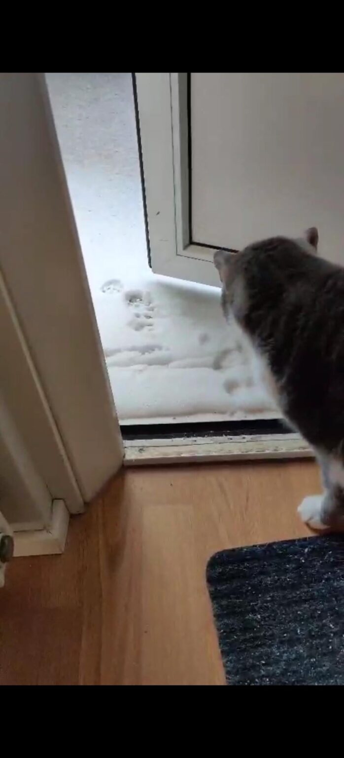 バルコニーに雪が降る