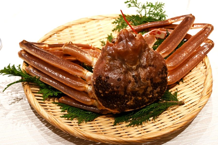 今年はお得な「松葉ガニチャンス」カニ取県鳥取の仲買人が一番おいしいと薦める食べ方は？ | Lmaga.jp