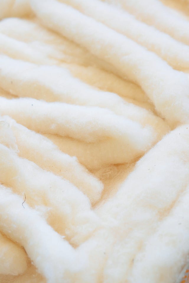 川越唐桟の綿打ち後の白い綿