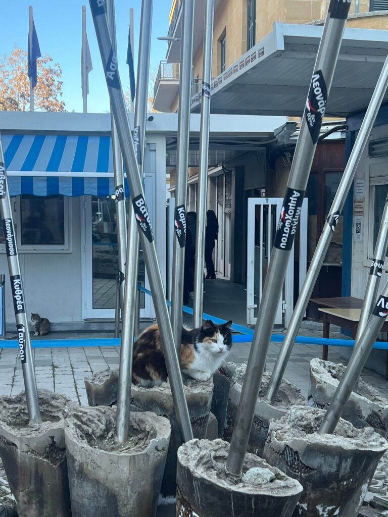 新しい国境警備官がいます