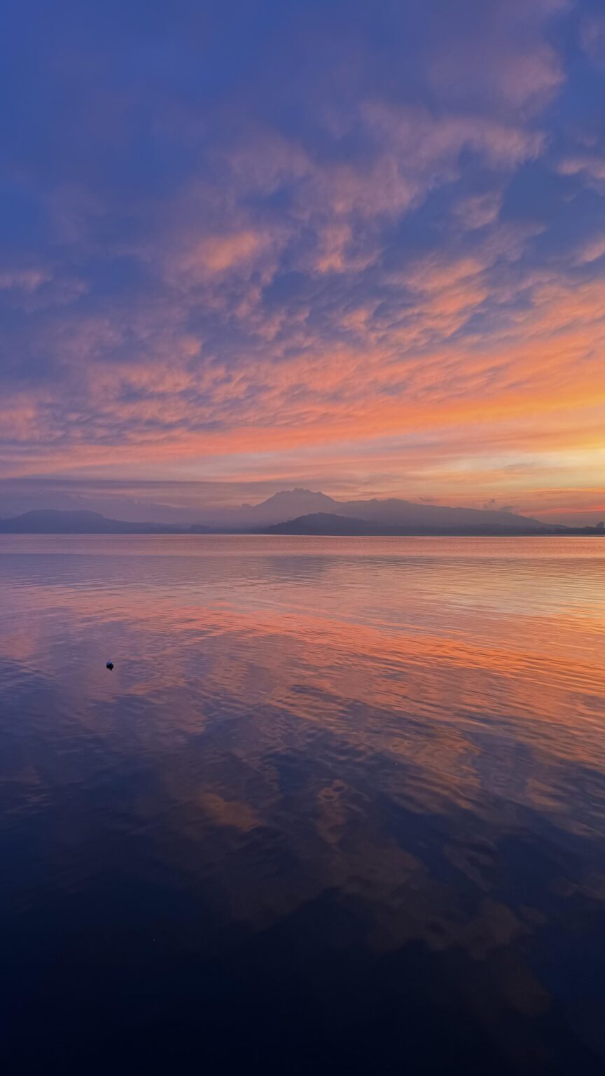 シェーダーがまた不具合を起こしています...