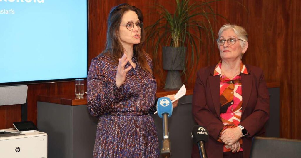 市内の幼稚園では最初の 36 レッスンは無料 - RÚV.is