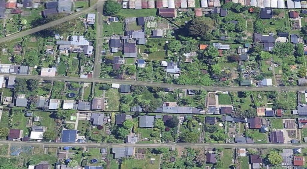 これらは何ですか？