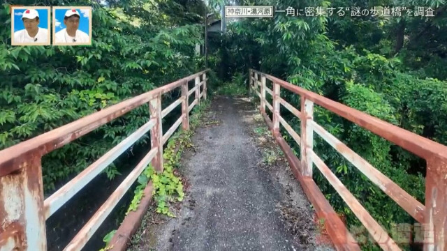 神奈川県の温泉地に潜む“謎の歩道橋” 一角に4本の歩道橋が密集するワケ【道との遭遇】