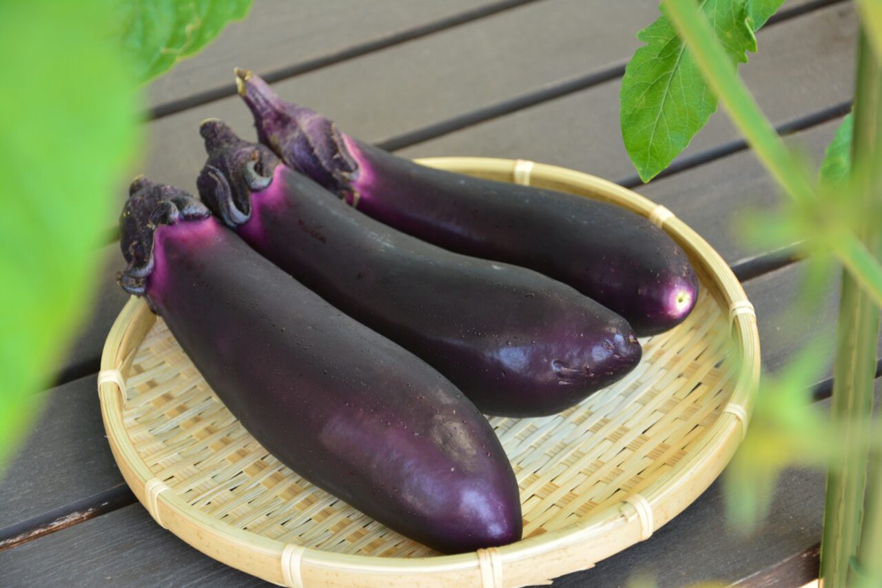 なす・なすびのイメージ