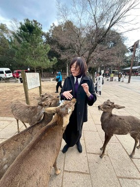 シカにえさをあげる安倍昭恵さん。微妙な表情だ（安倍昭恵さんのXから）