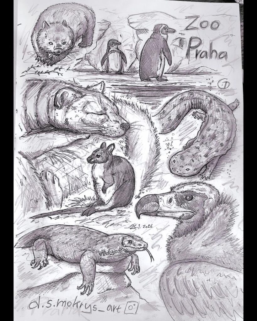 プラハ動物園に初めて行きました。
