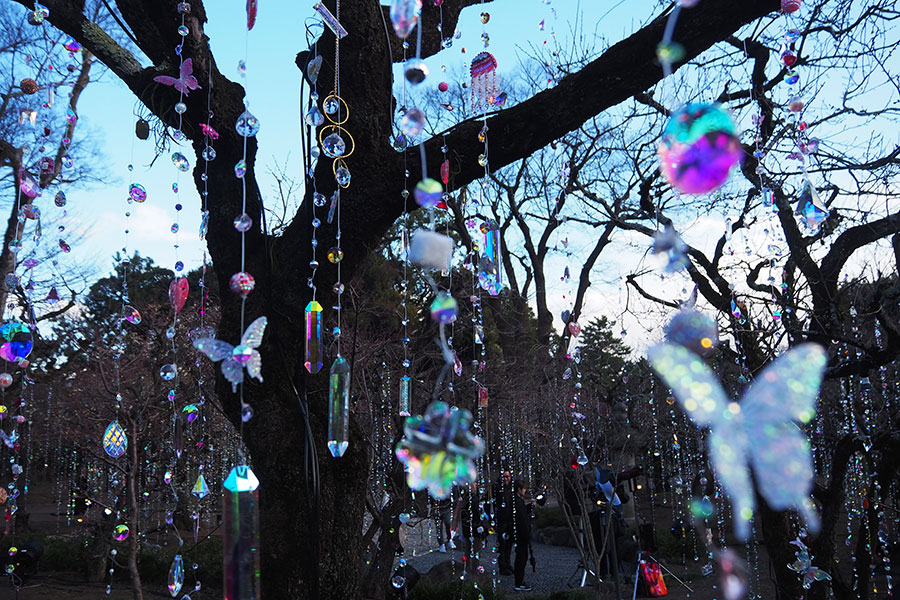 雪月花の三庭苑・梅苑「花の庭」での『光と花の庭』