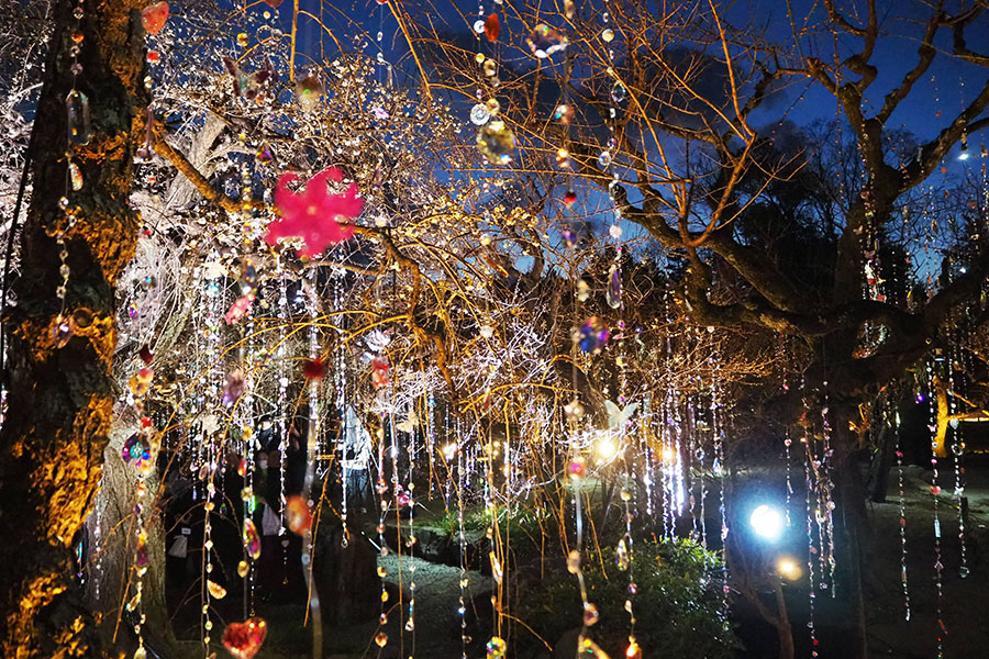 京都に期間限定の“異空間”…蜷川実花が手掛ける「360度のアート体験」 | Lmaga.jp