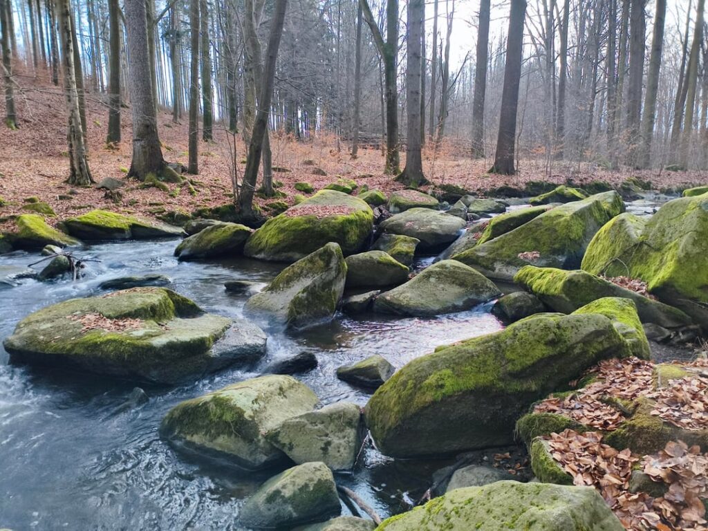 ドイツの隠れた一角: チェコ国境近くの砂岩層 (フリーダースドルフ)