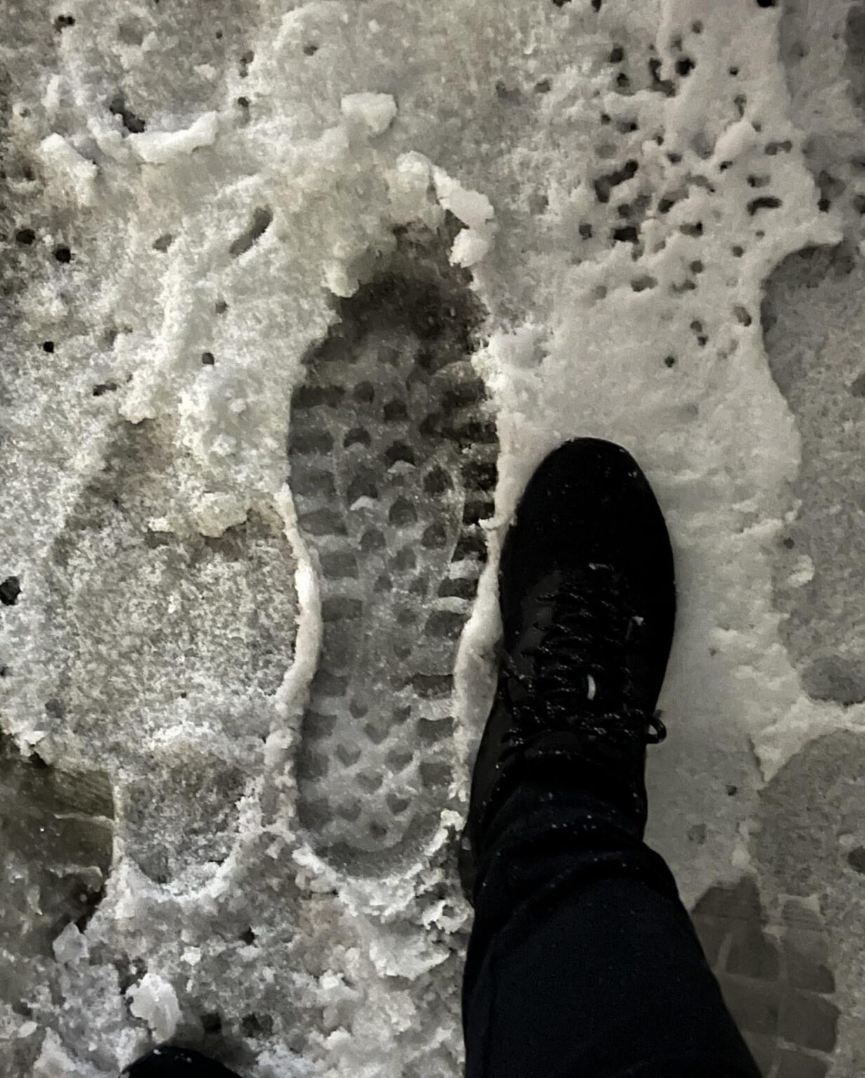 ビッグフットに会った気がする