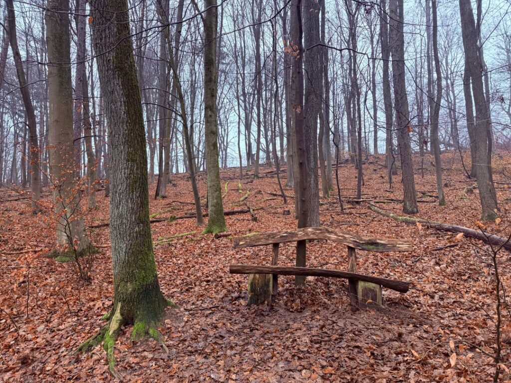 ザール州エンスドルフ付近は曇りだが乾燥した日