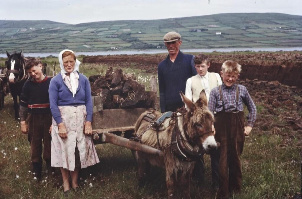 芝生を家に持ち帰る