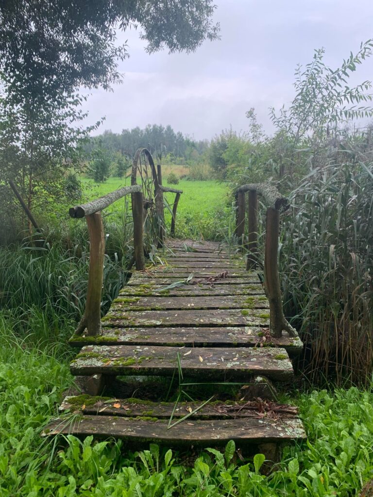 2024年にラトビアで撮った写真です！