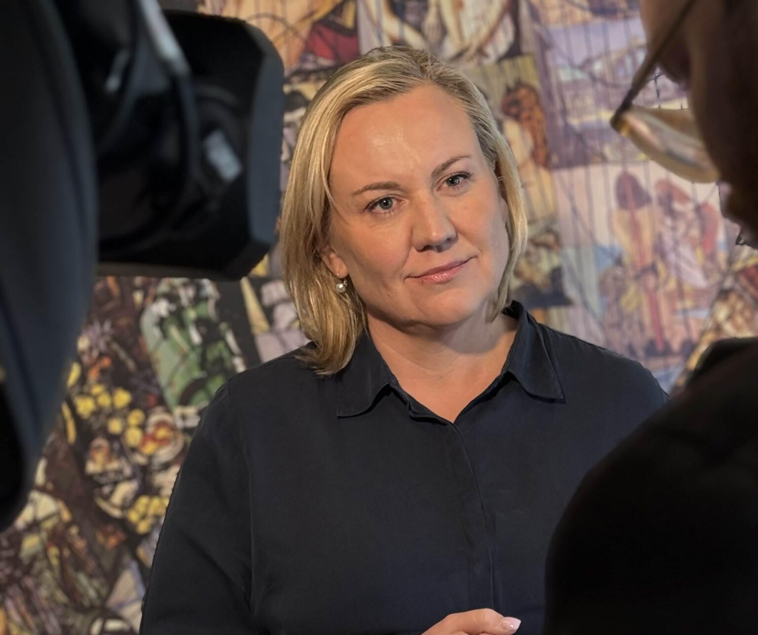 委員の兼職に関する法案がアルシンギによって承認された