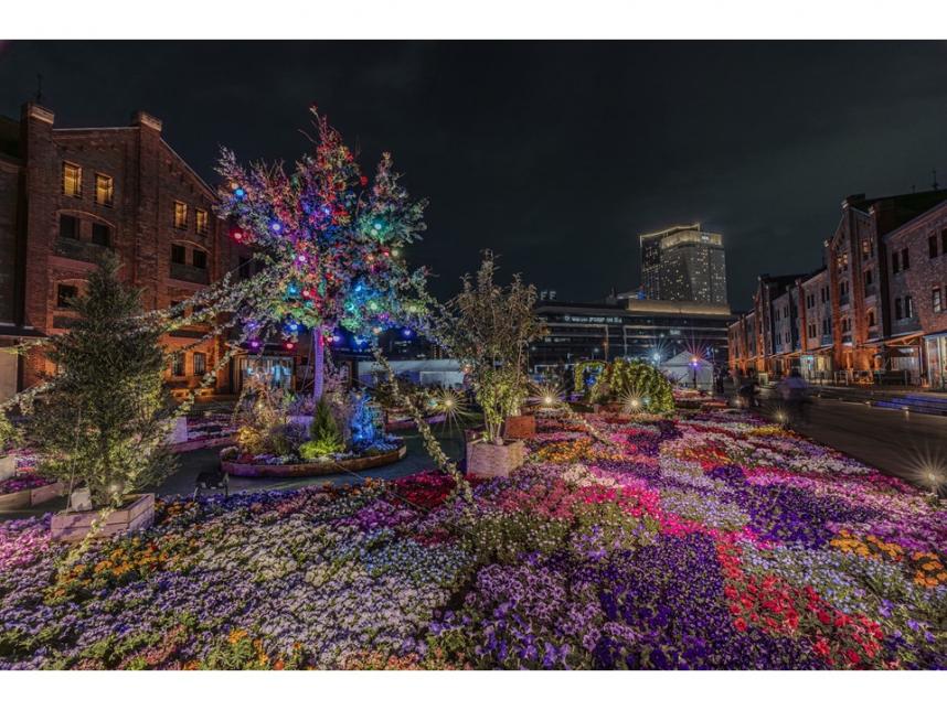 かながわ観光親善大使賞