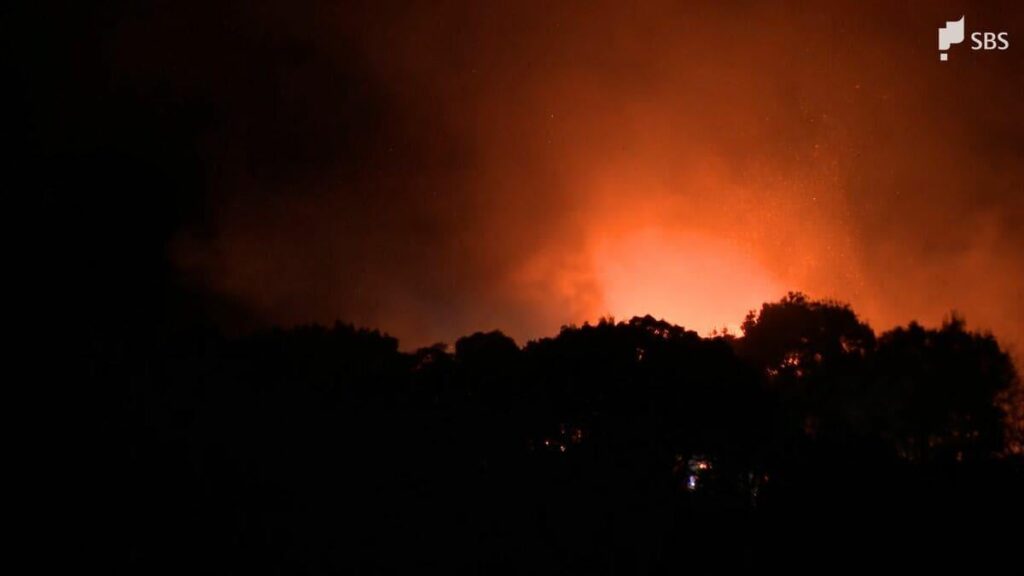 静岡県伊豆市で山火事発生 近くの建物に延焼か