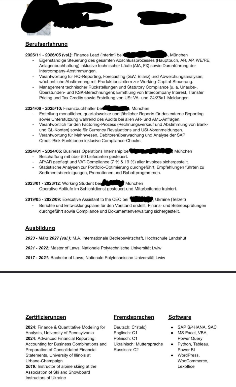 私の履歴書をローストします