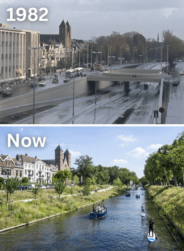 そうはならないと分かっているけど、それでも願ってしまう