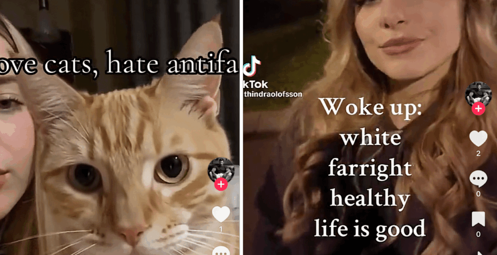 Tiktokは極右のAIが生成した少女たちを阻止する