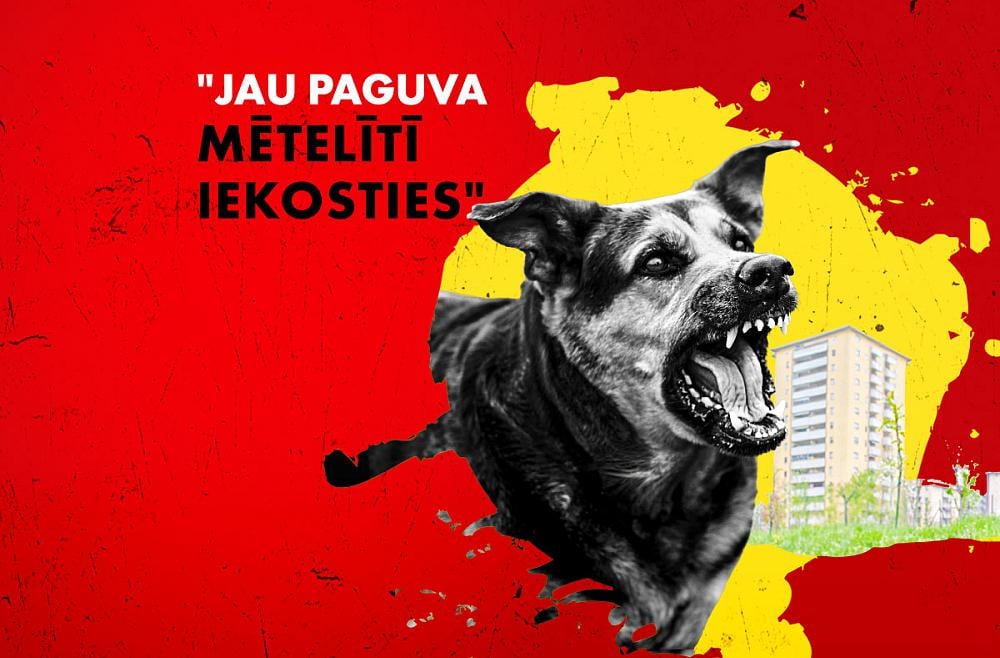 ラトビアで攻撃的な犬に関する放送