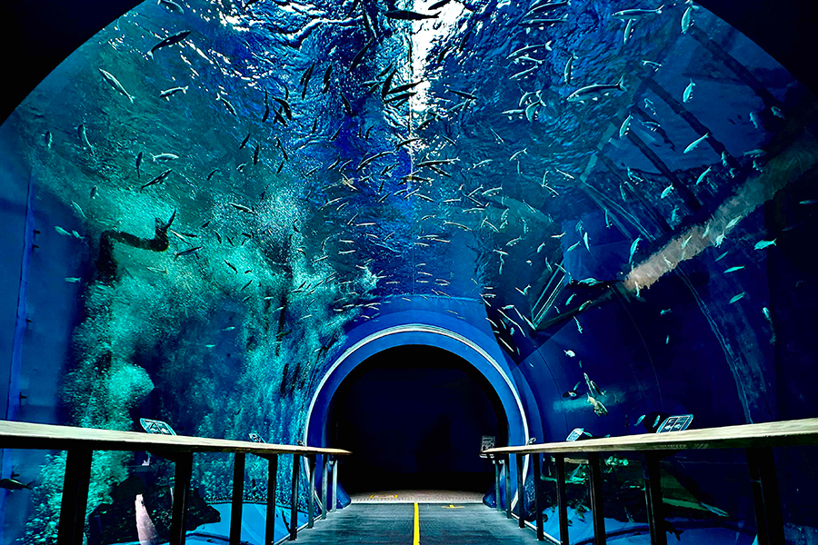 1日限定…関西最大・滋賀の博物館で「ナイトツアー」、展示物が幻想的に | Lmaga.jp