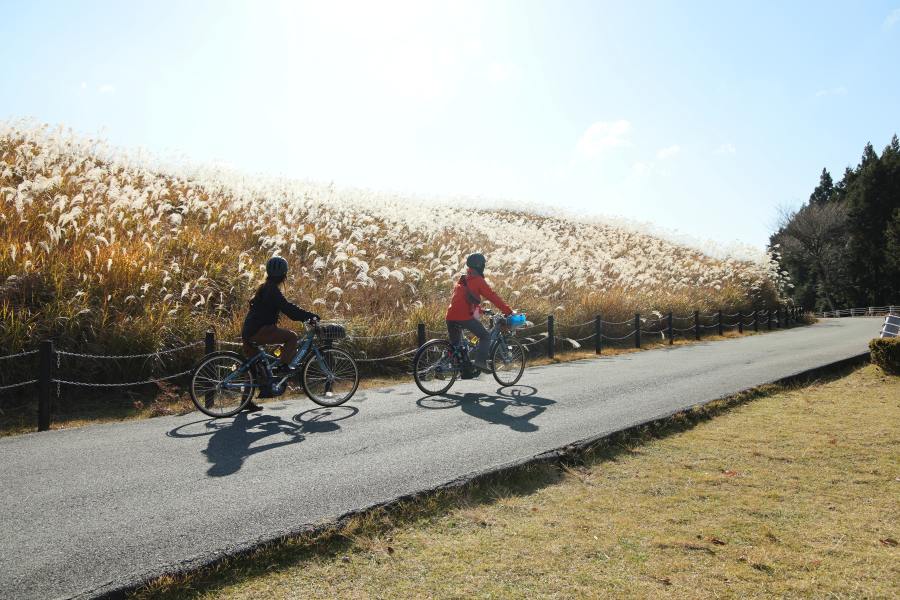 曽爾高原の光り輝くススキを横目に、電動アシスト付き自転車で颯爽と駆け抜ける