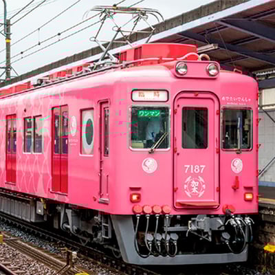 3月7日開催 南海『和歌山車庫見学会「めでたいでんしゃ」で洗車体験』開催｜鉄道イベント｜2026年2月3日掲載｜鉄道ファン・railf.jp